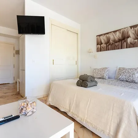 Apartment In Near Romana Playa