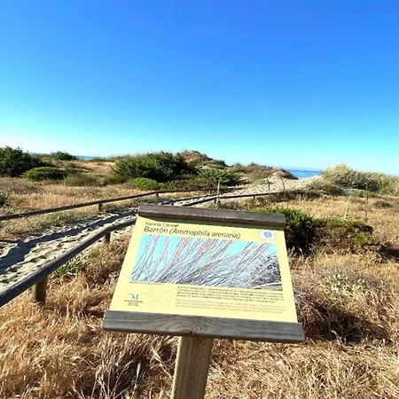 In Near Romana Playa