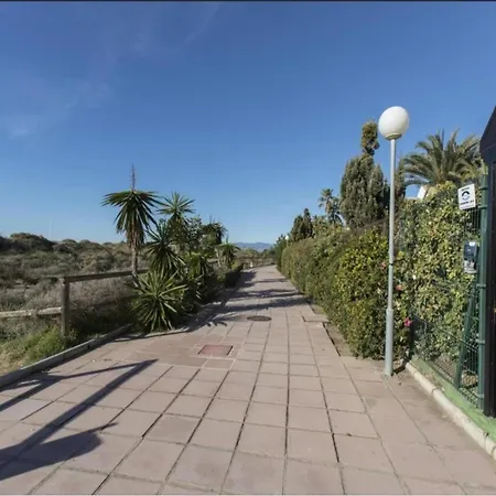 In Near Romana Playa *