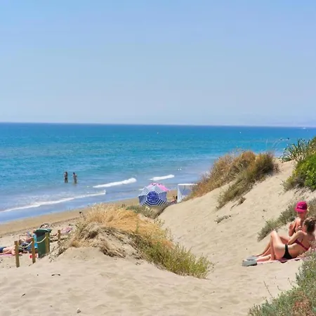 In Near Romana Playa *