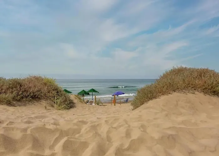 In Near Romana Playa Apartament