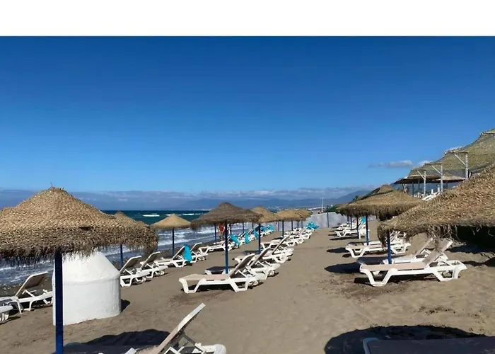 In Near Romana Playa