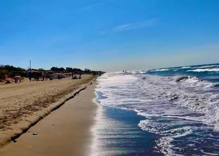 Apartament In Near Romana Playa