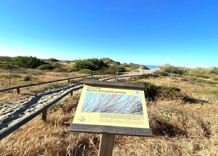 In Near Romana Playa