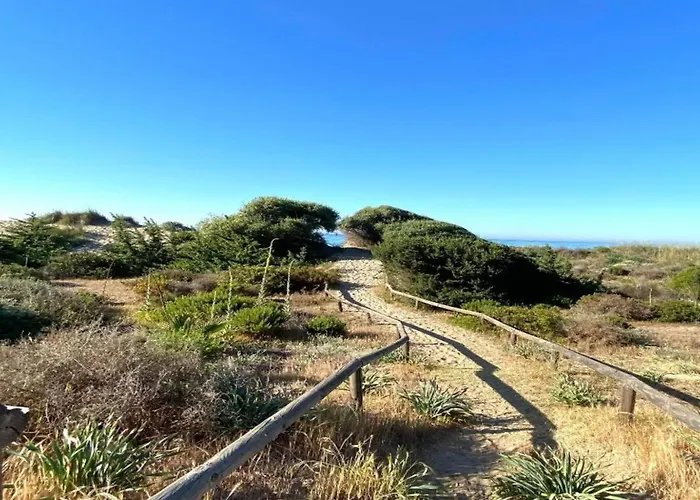 In Near Romana Playa *