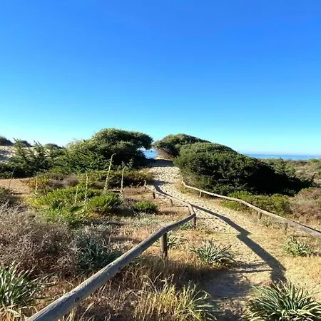 In Near Romana Playa *