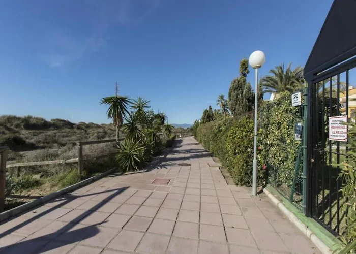 In Near Romana Playa *